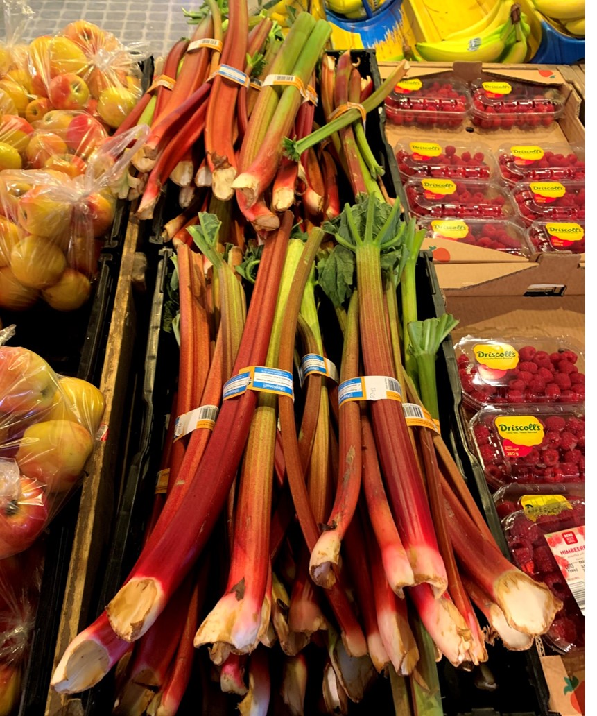 Rhubarb大黃