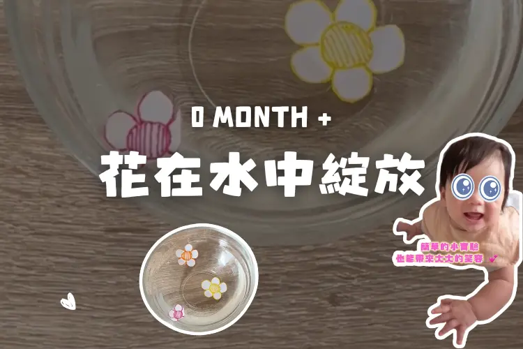 親子實驗 電腦版